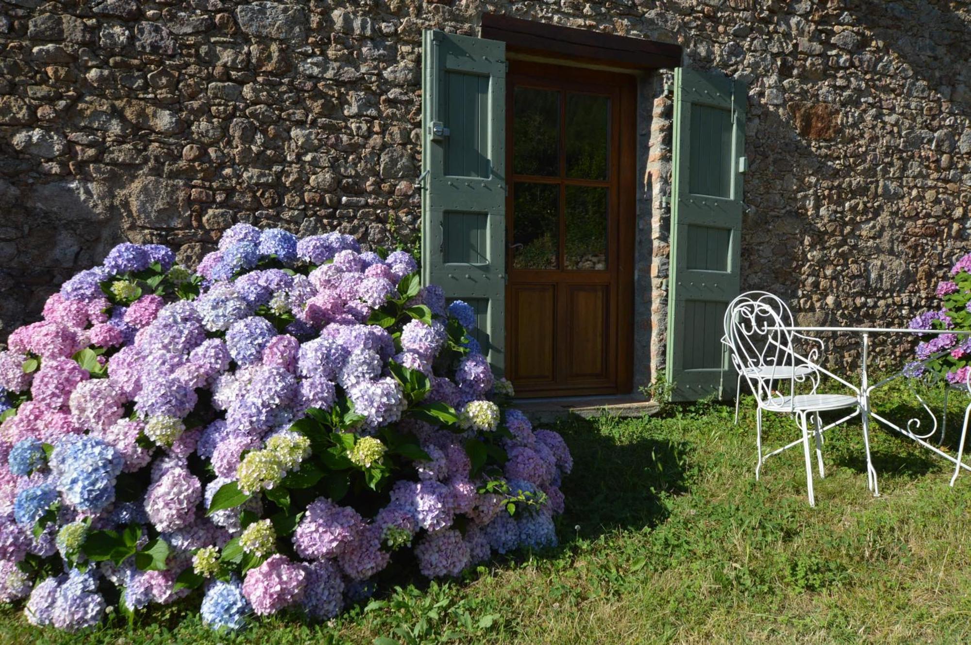 Mas Des Druilles Bed & Breakfast Generargues Luaran gambar