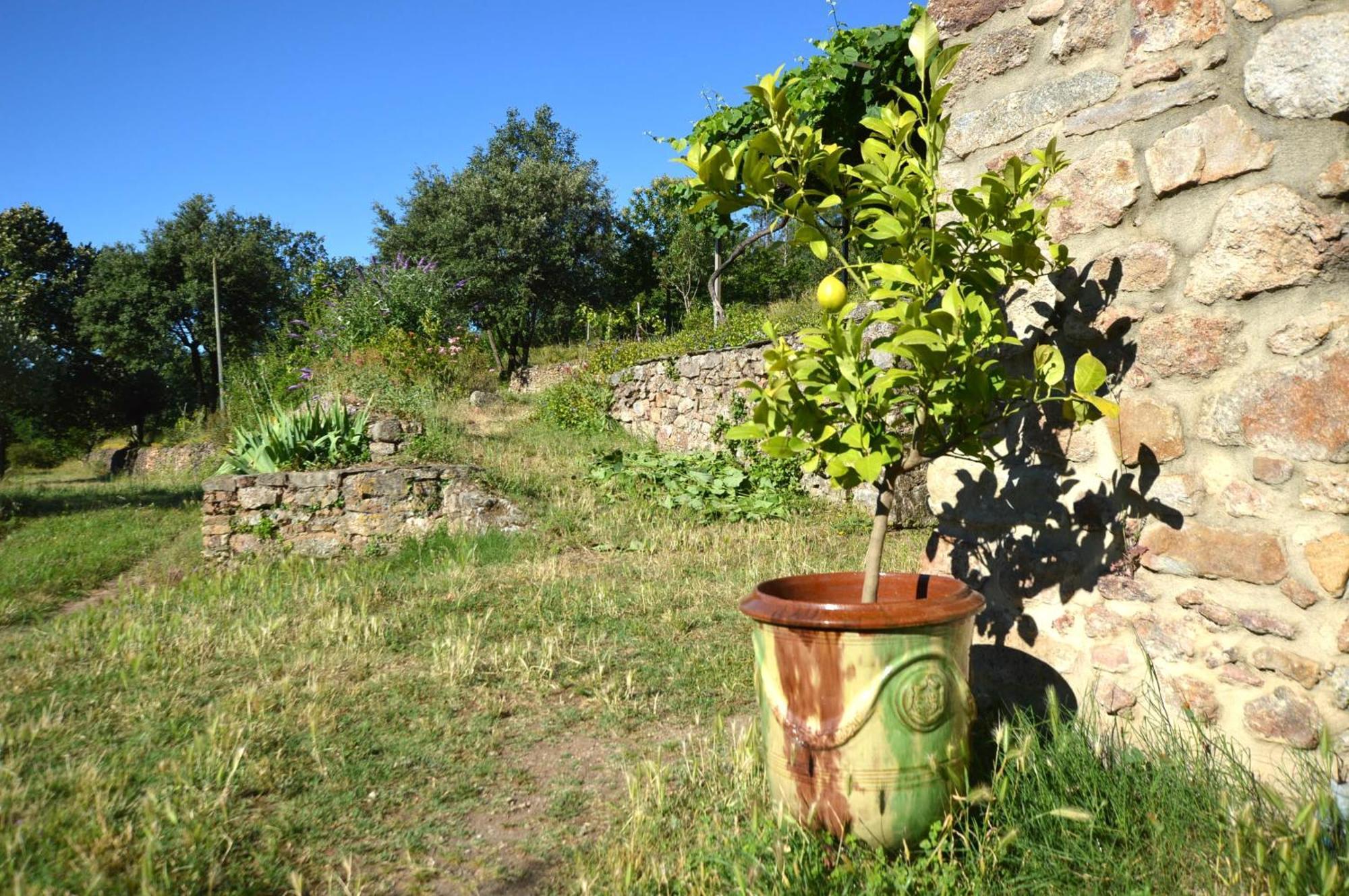 Mas Des Druilles Bed & Breakfast Generargues Luaran gambar